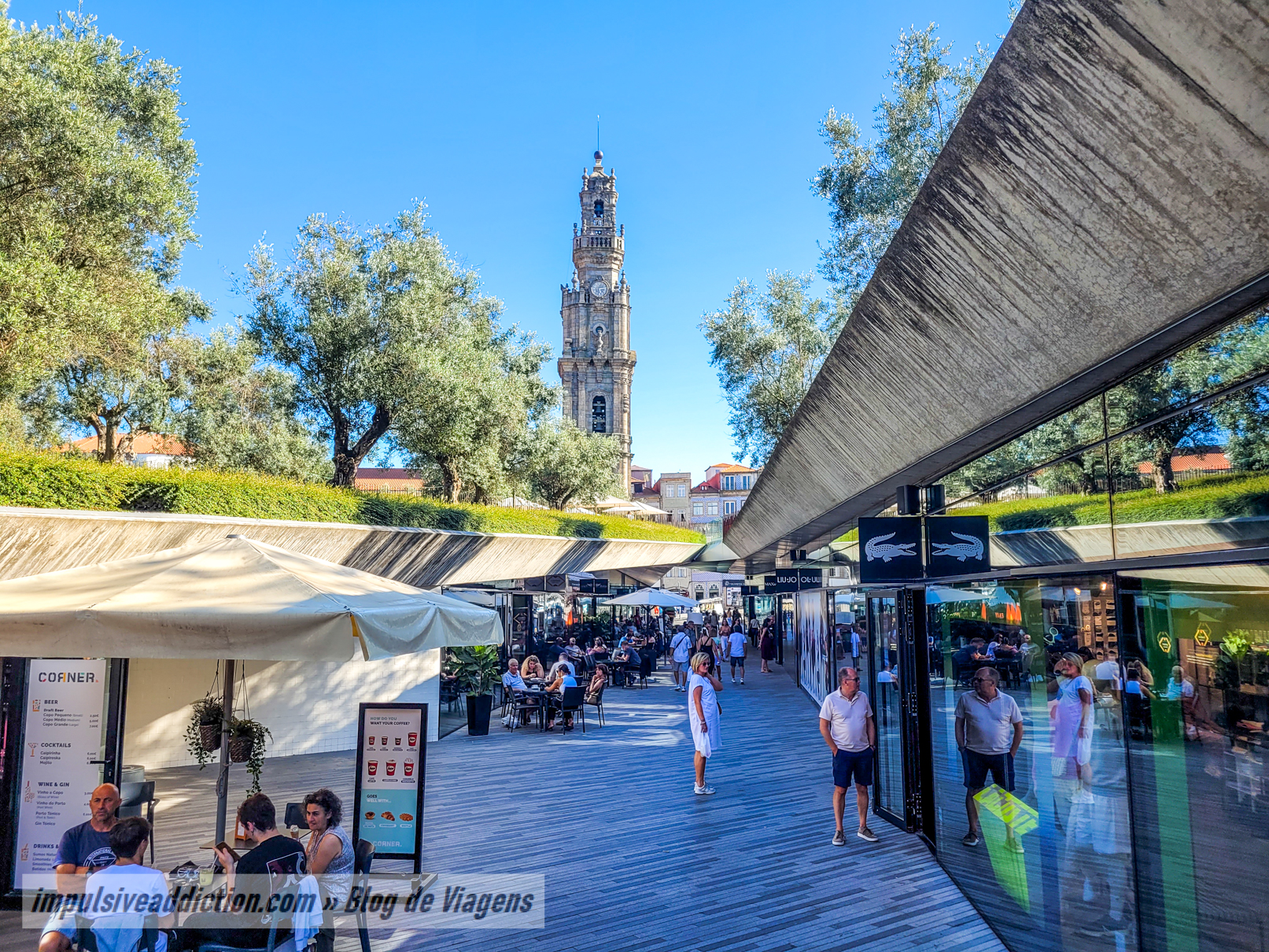Jardim das Oliveiras junto da Torre dos Clérigos