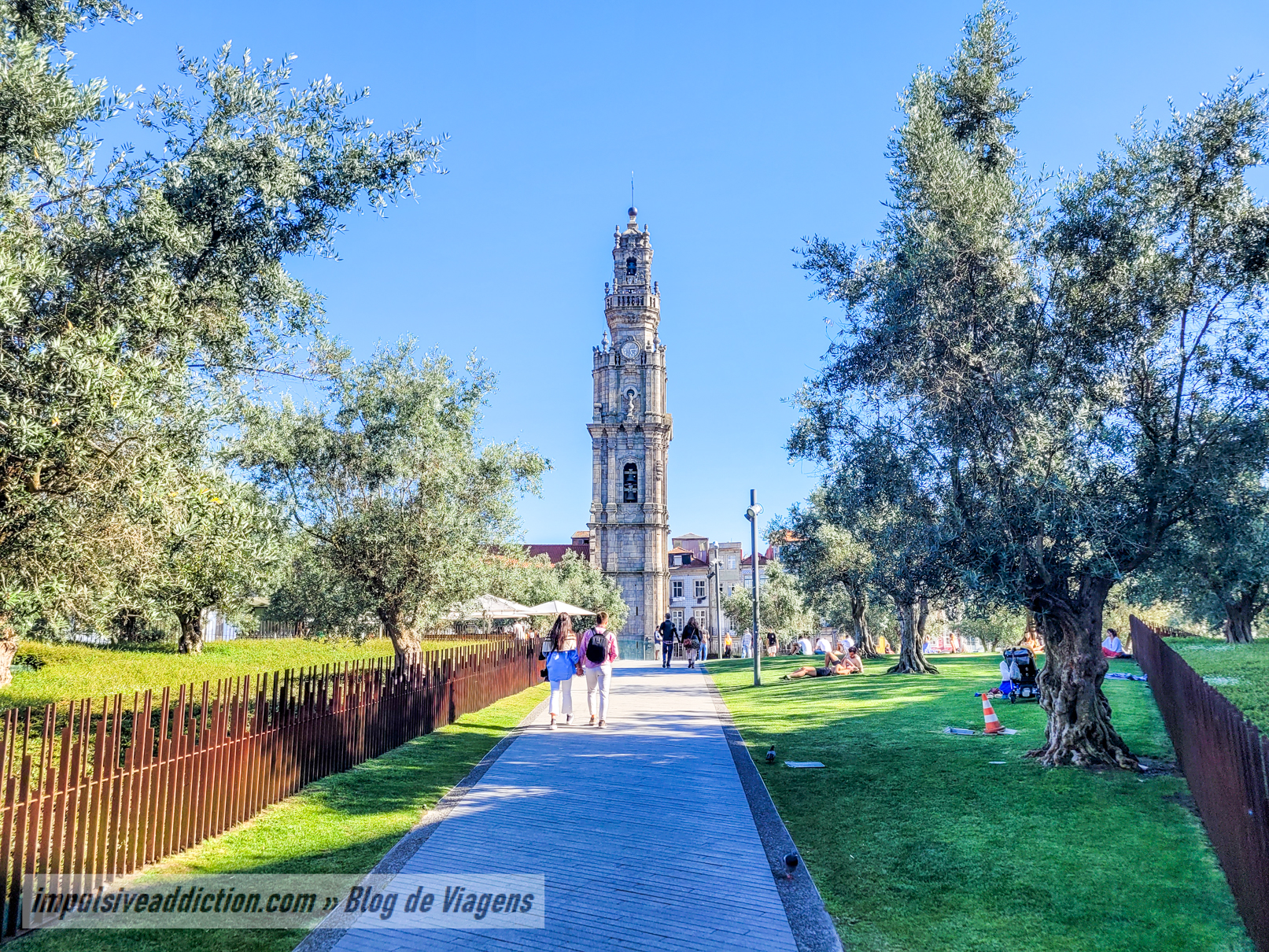Olive Garden and Clérigos Tower | Things to do in Porto