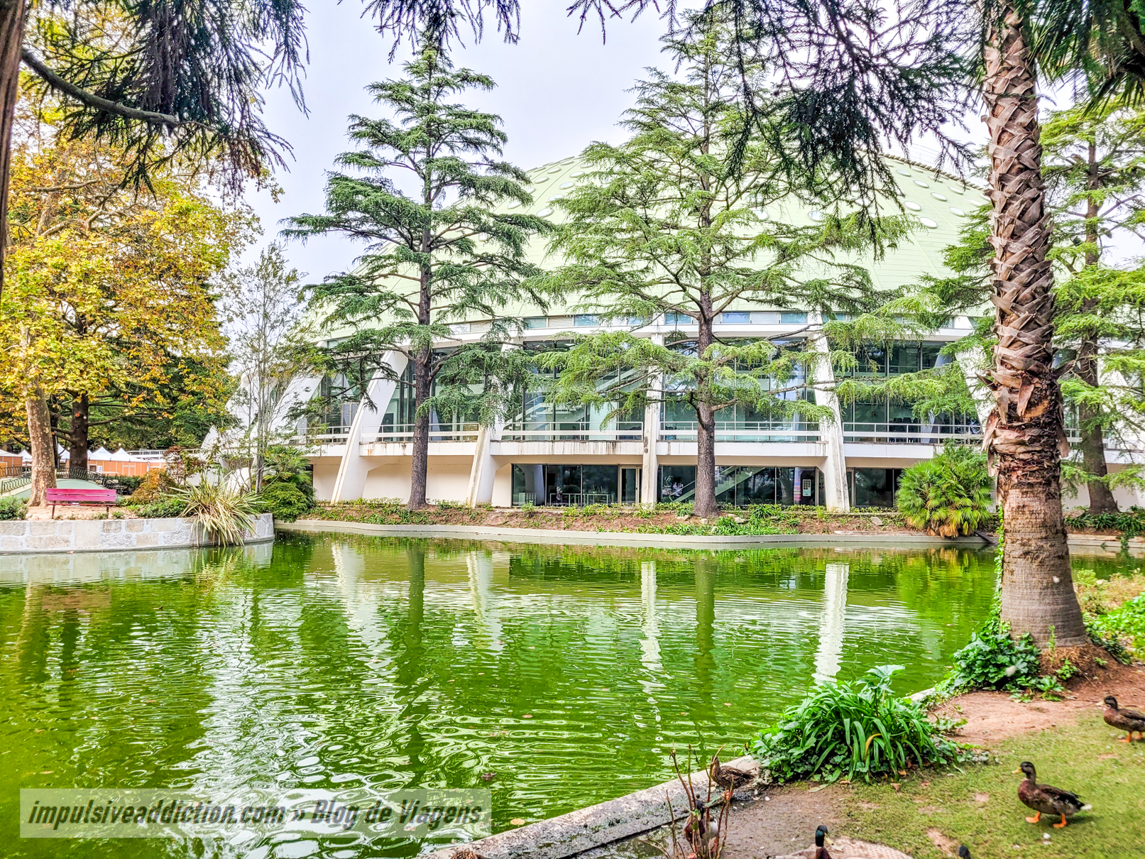 Visit Crystal Palace Gardens | Things to do in Porto