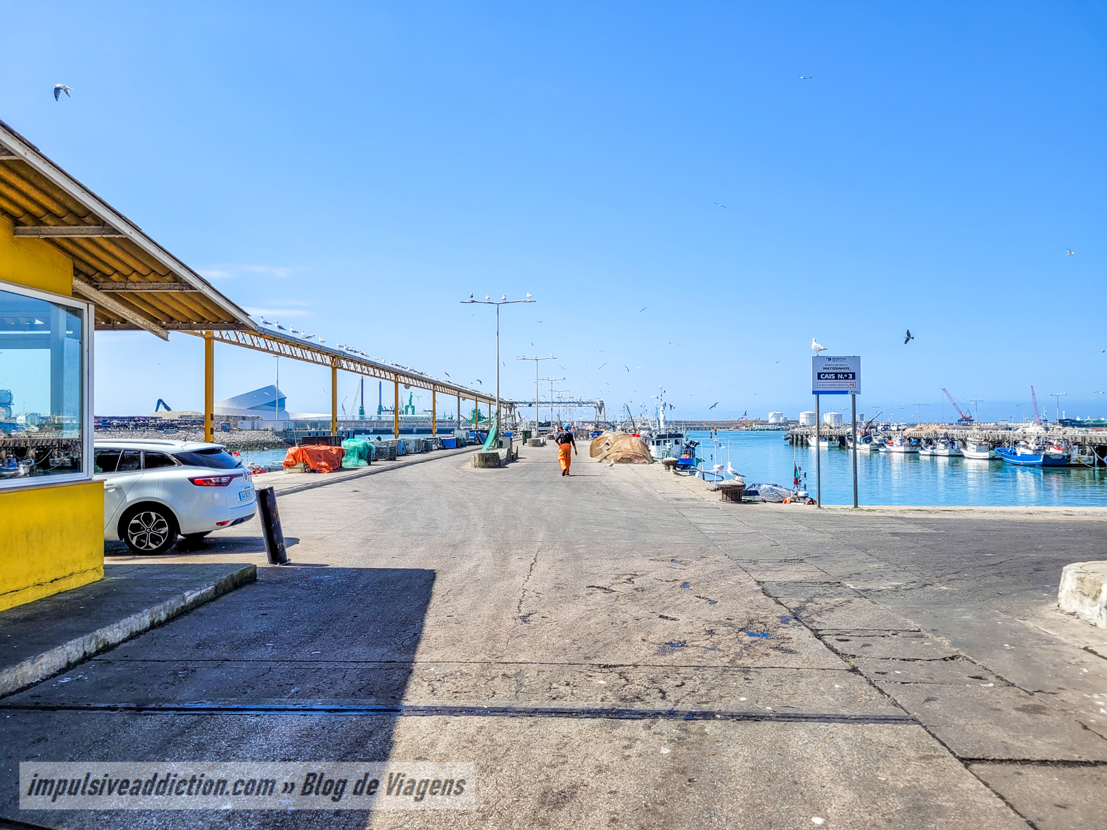 Fishing Docks of Matosinhos