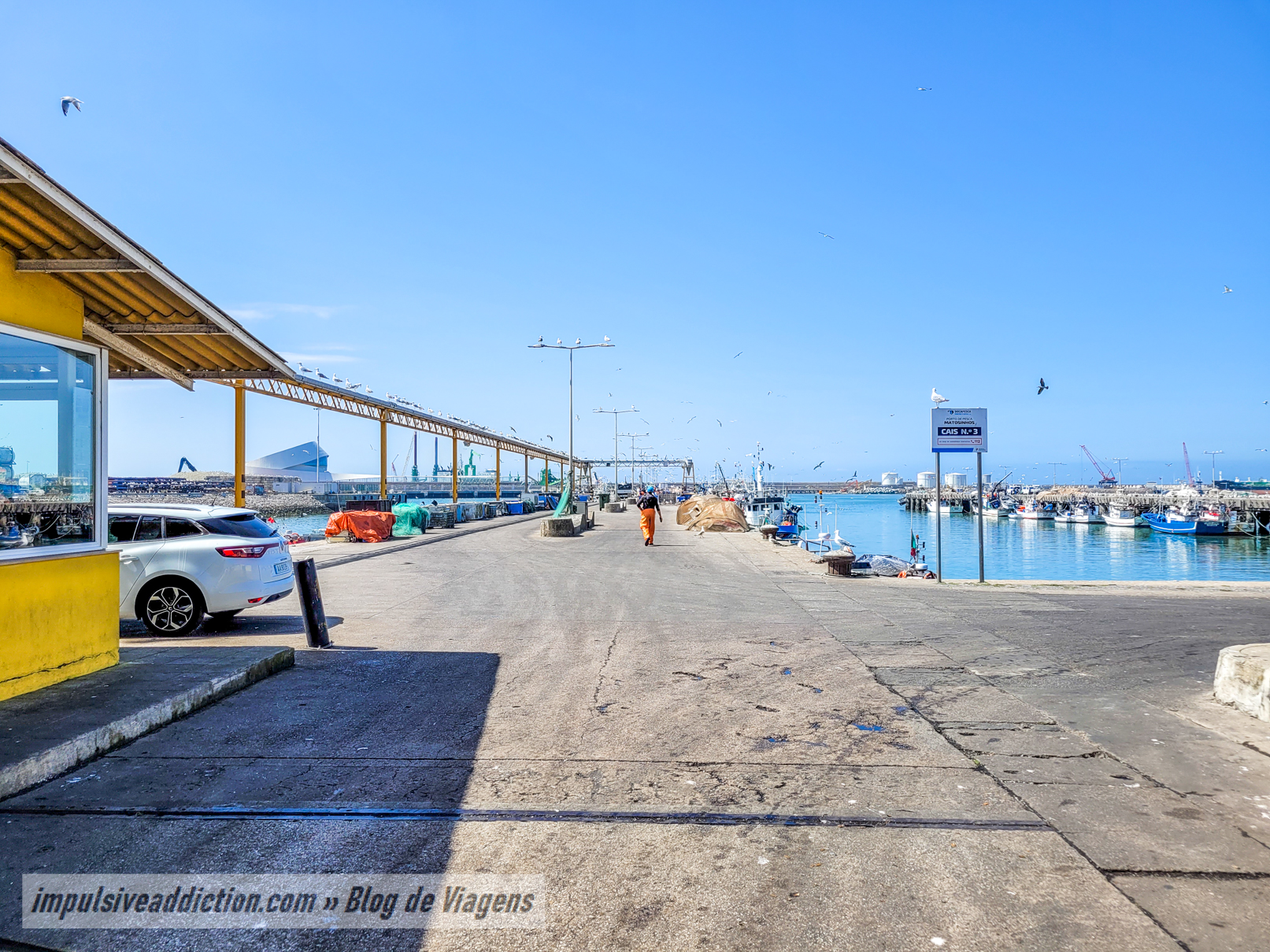 Lota de Matosinhos