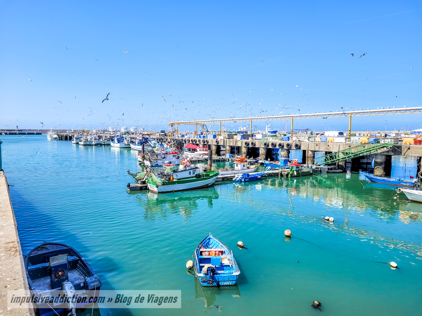Fishing Docks of Matosinhos