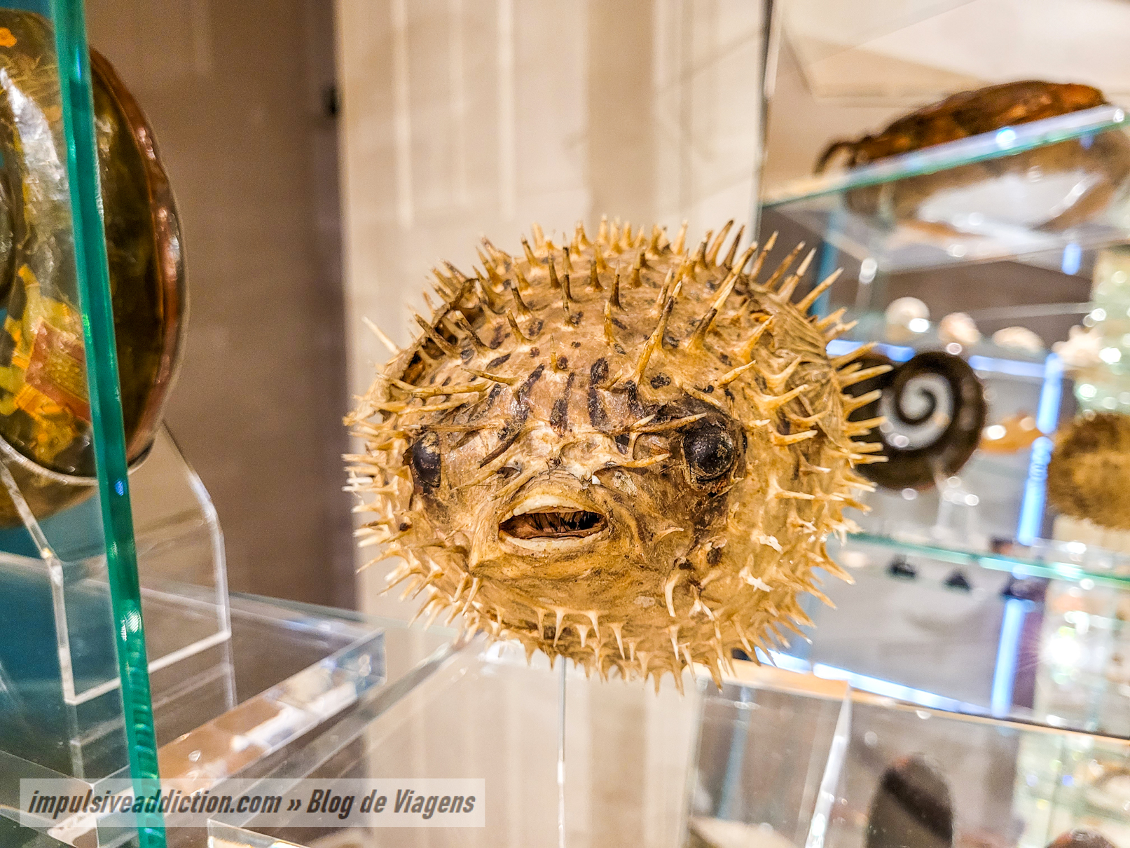 Museum of Romanticism | Porto Itinerary and Travel Guide