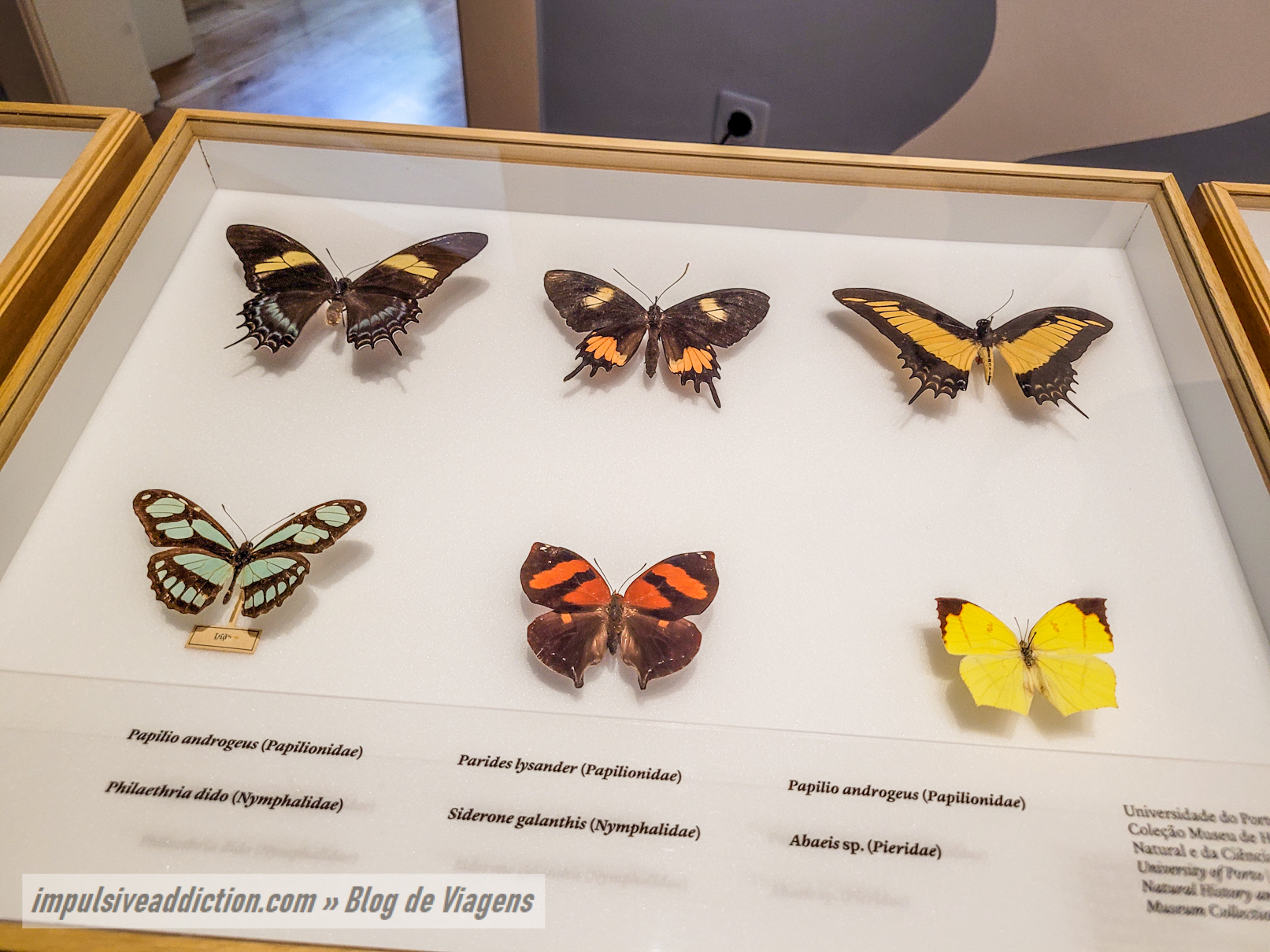 Museum of Romanticism | Porto Itinerary and Travel Guide