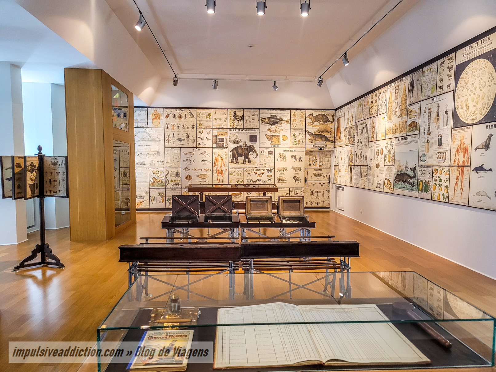Museu Escolar Oliveira Lopes
