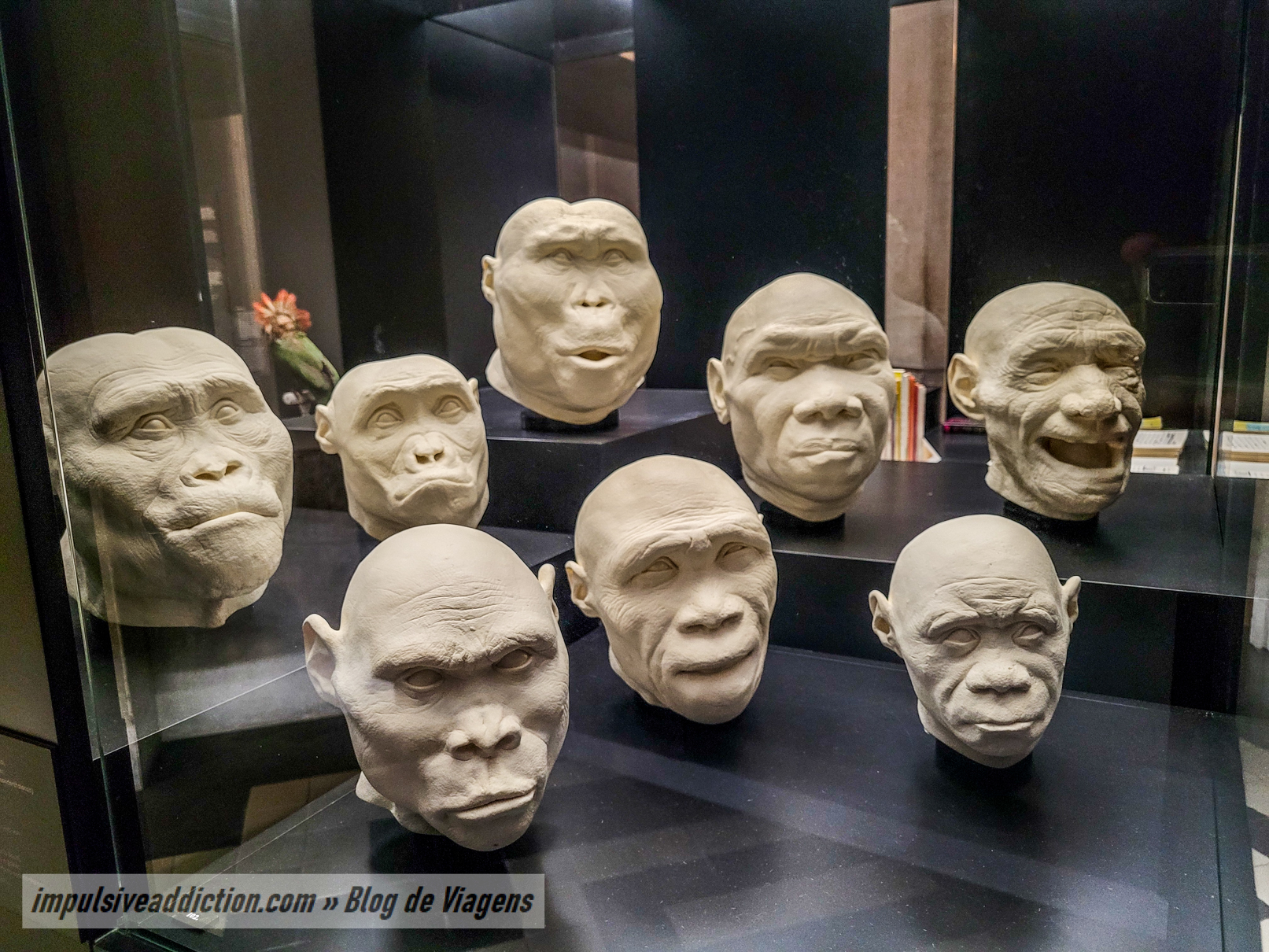 Museu de História Natural e Ciência da Universidade do Porto