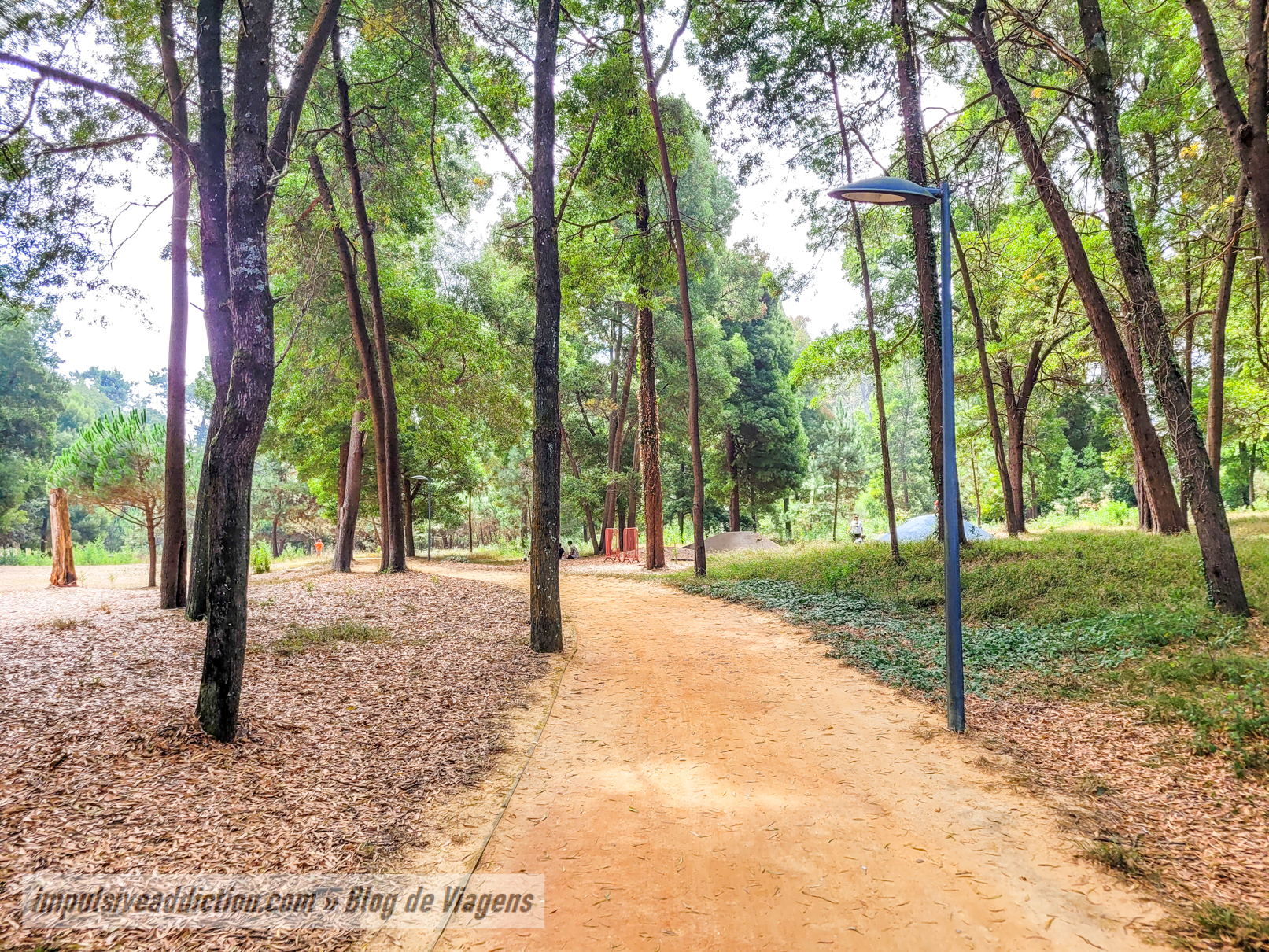 Parque Ambiental do Buçaquinho