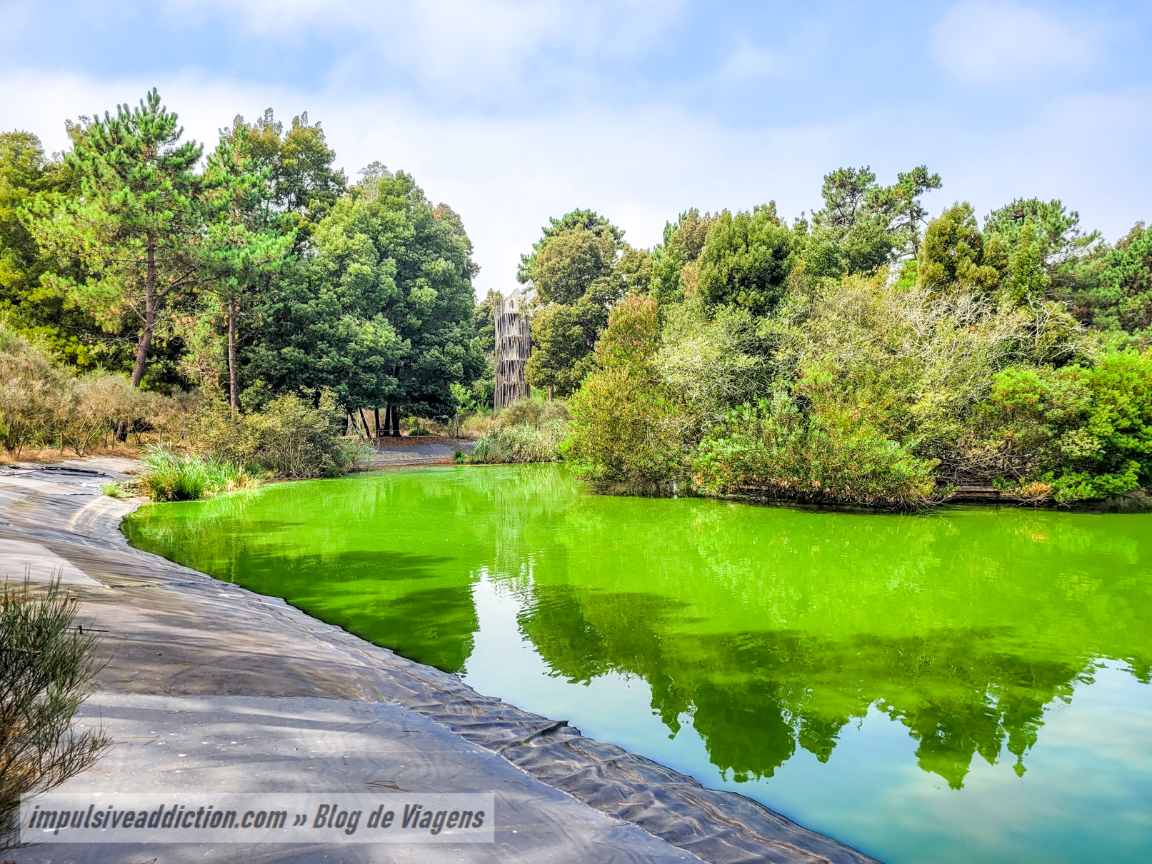 Parque Ambiental do Buçaquinho