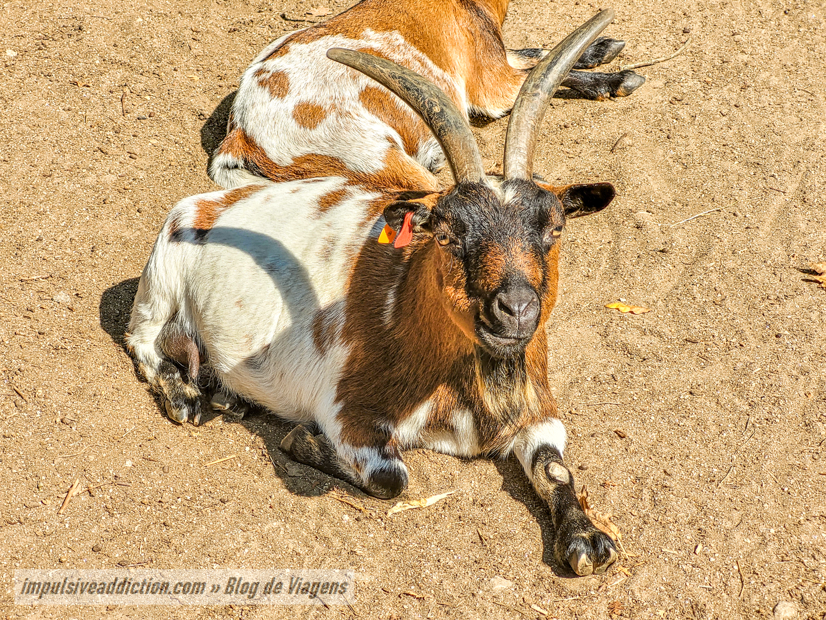 Gaia Biological Park