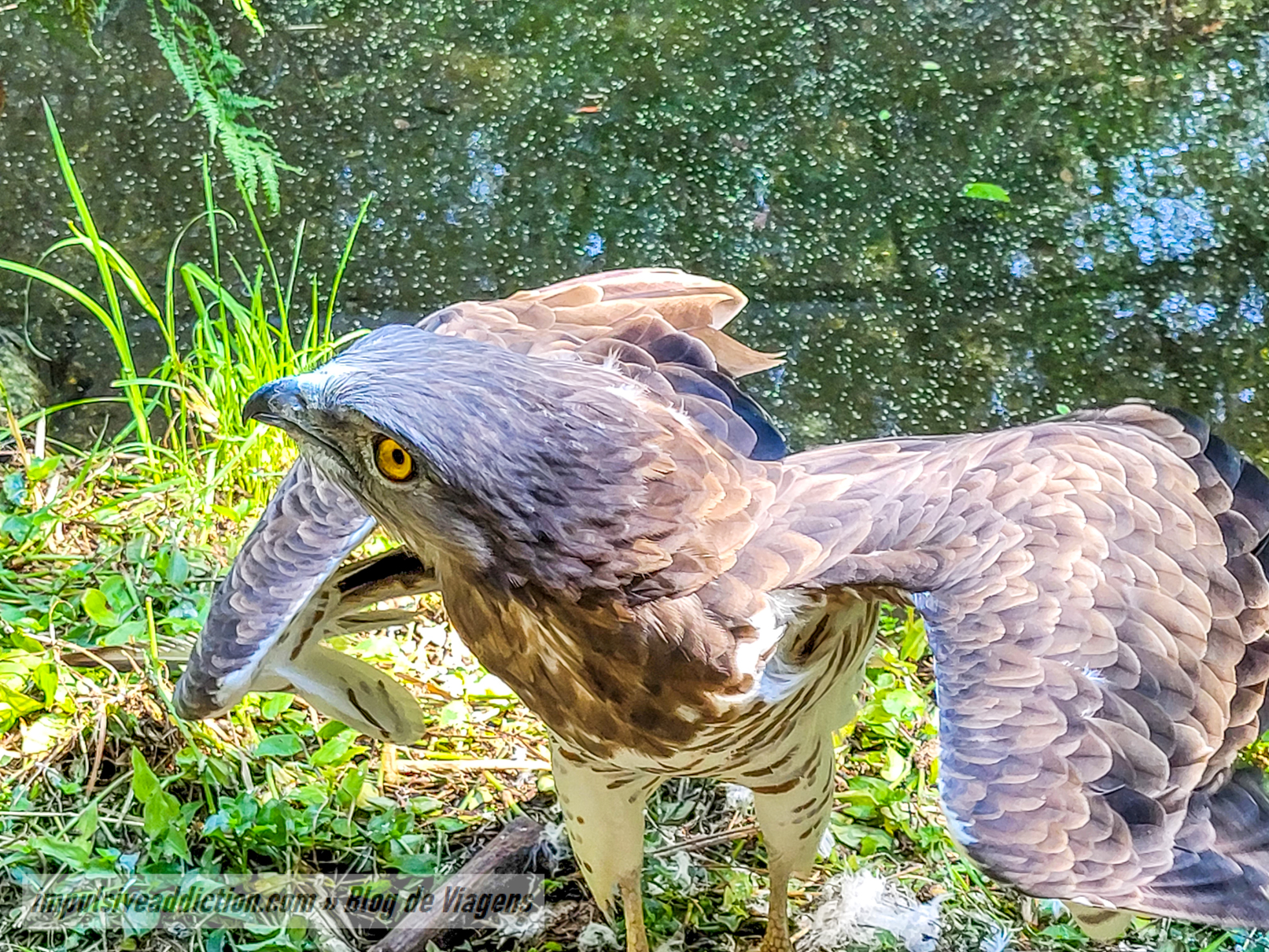 Gaia Biological Park