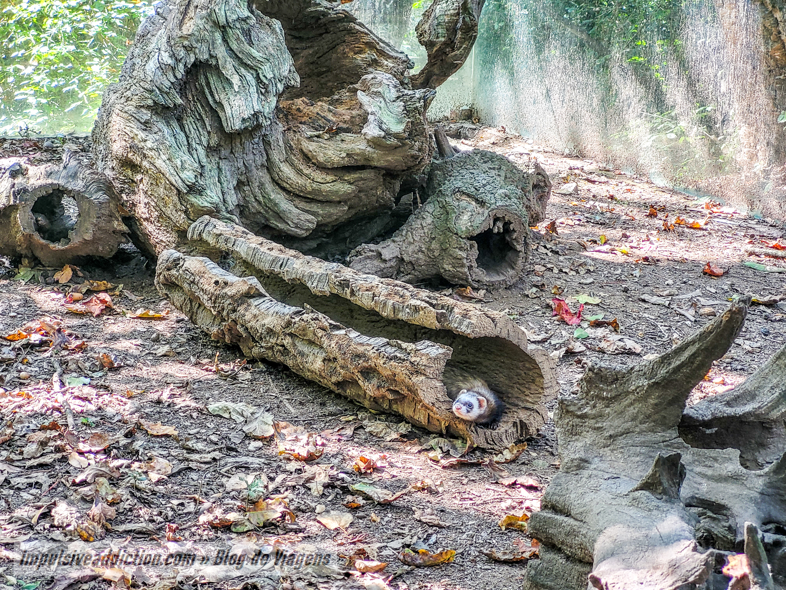 Gaia Biological Park