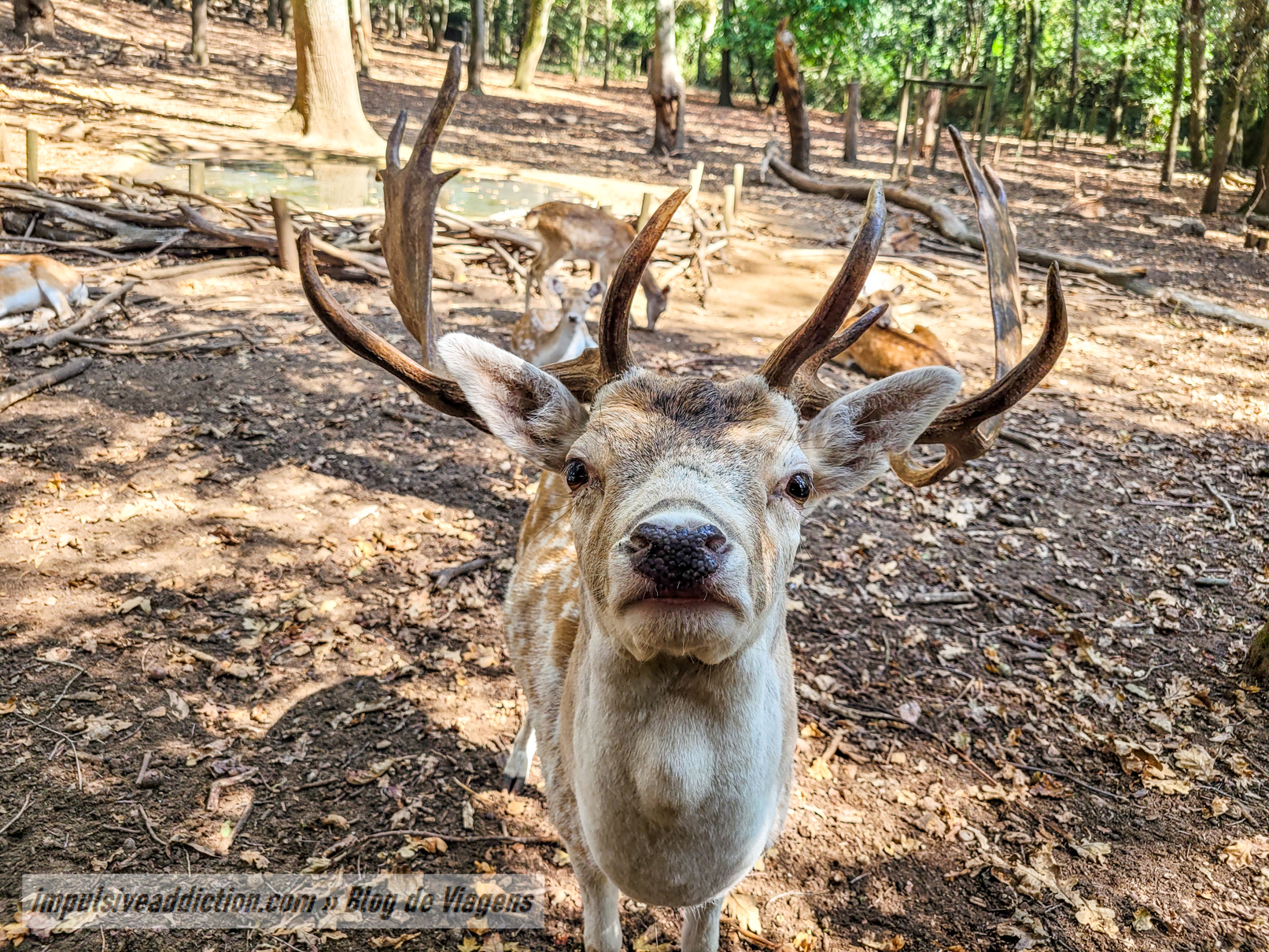 Gaia Biological Park