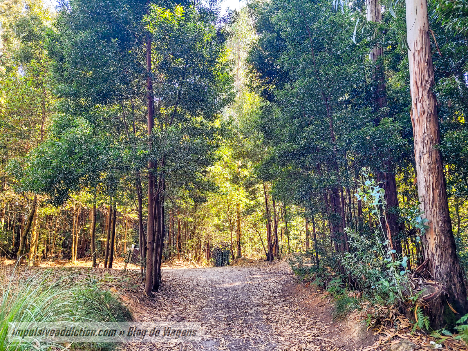 Parque da Cidade de Espinho