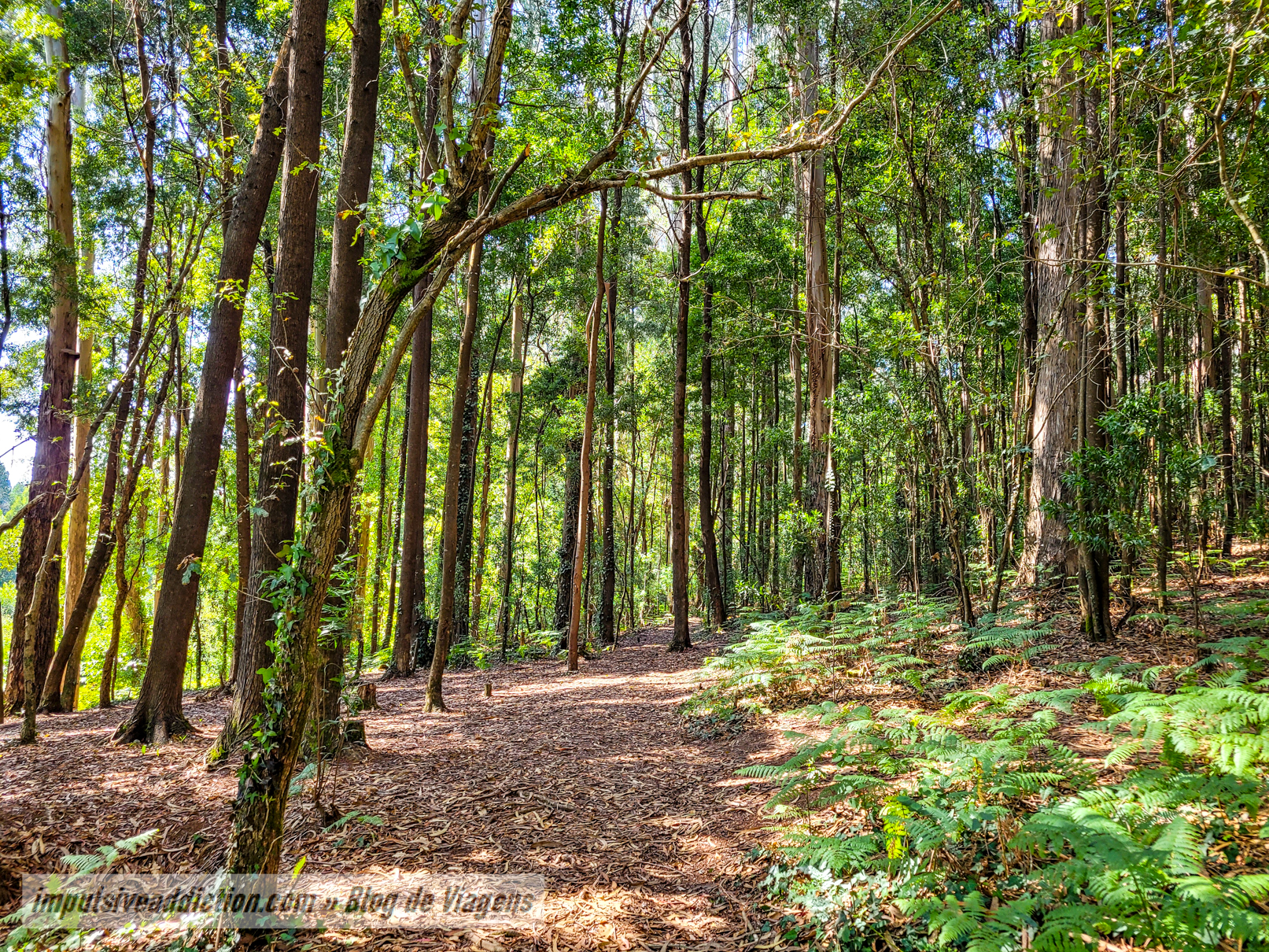 Parque da Cidade de Espinho
