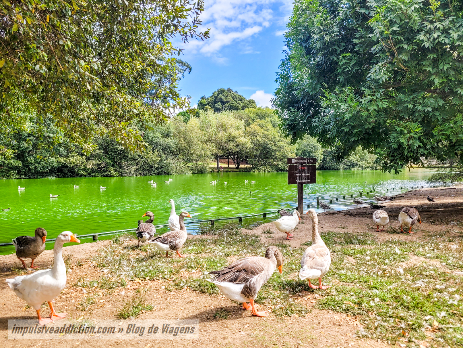 Porto City Park