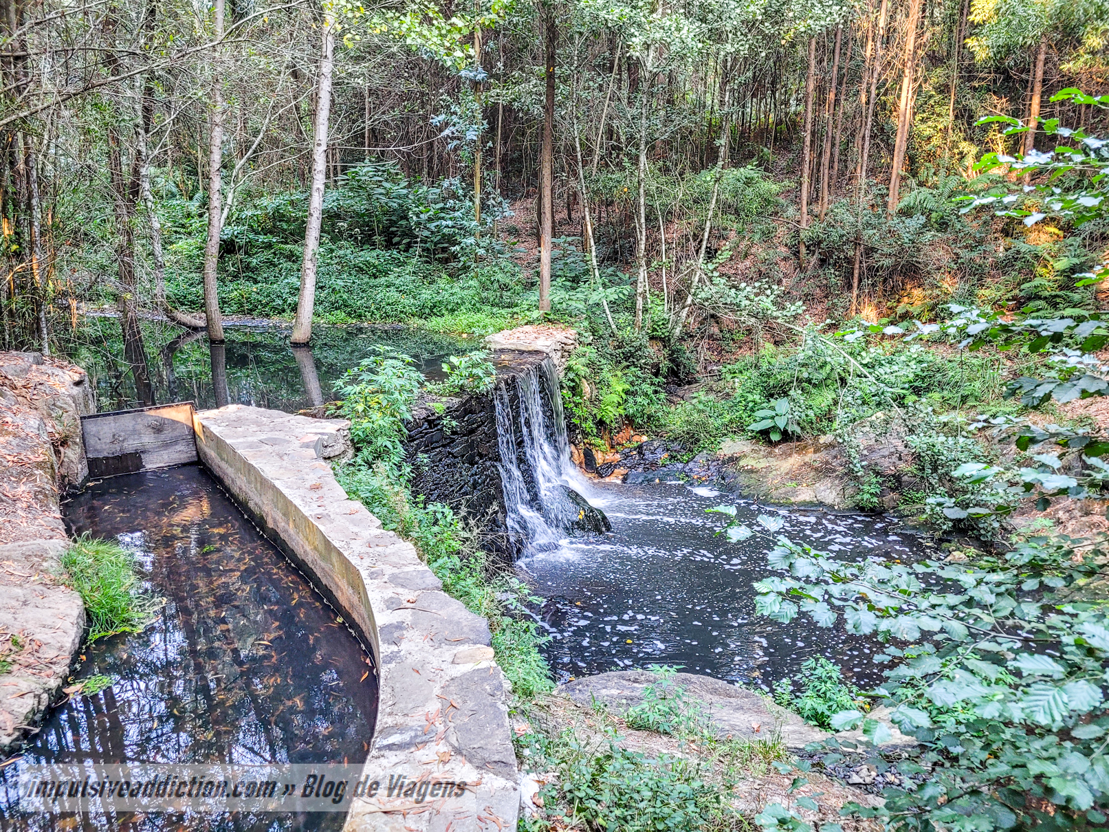 Parque da Fonte de Estanislau