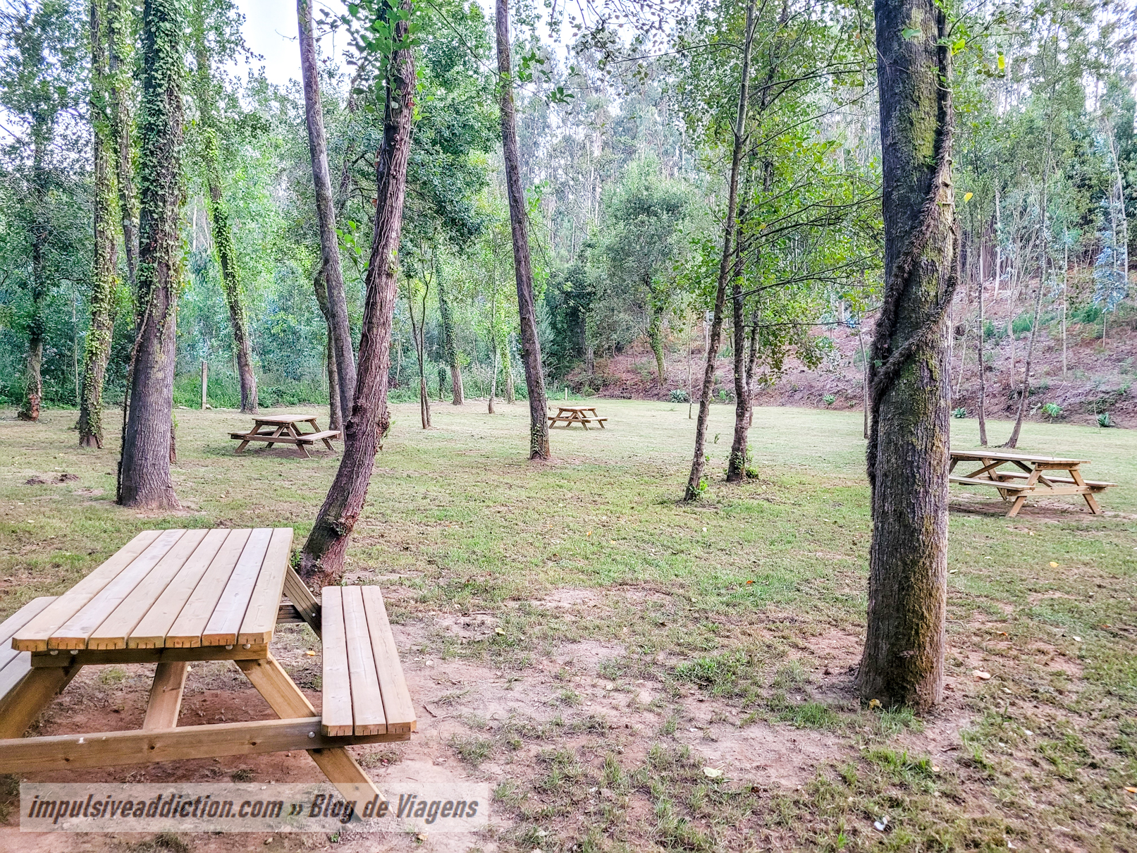 Parque da Fonte do Amieiro