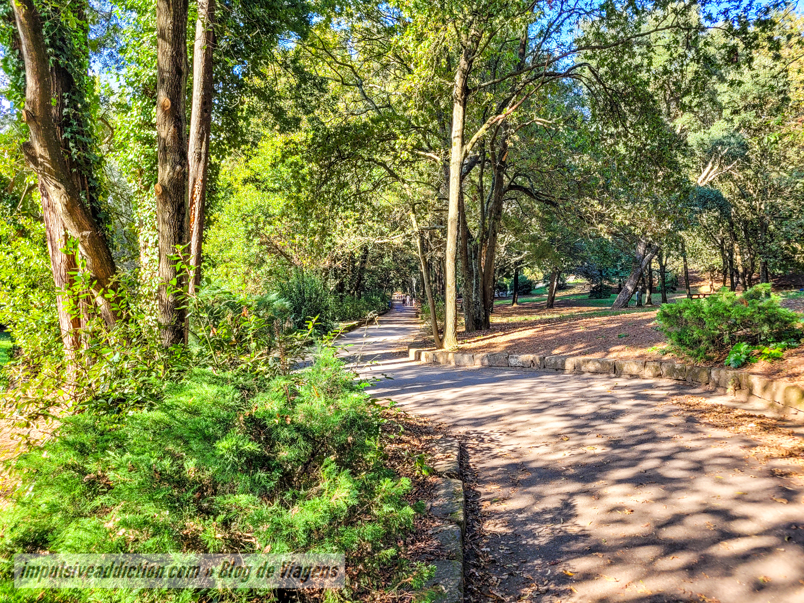 Lavandeira Park in Gaia