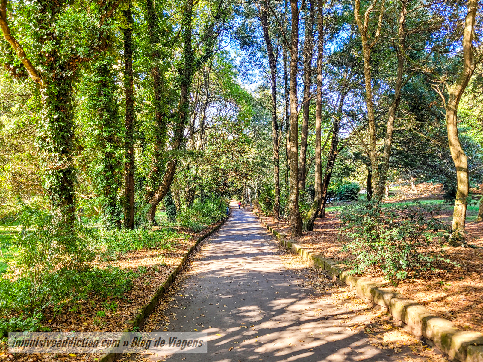 Lavandeira Park in Gaia