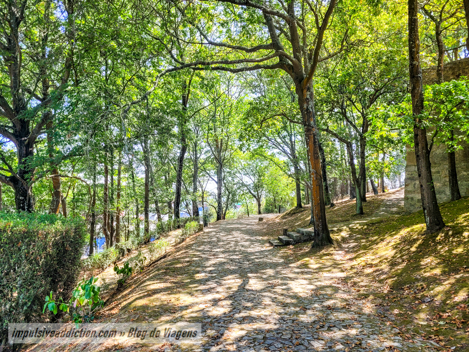 Parque Municipal da Quinta da Conceição