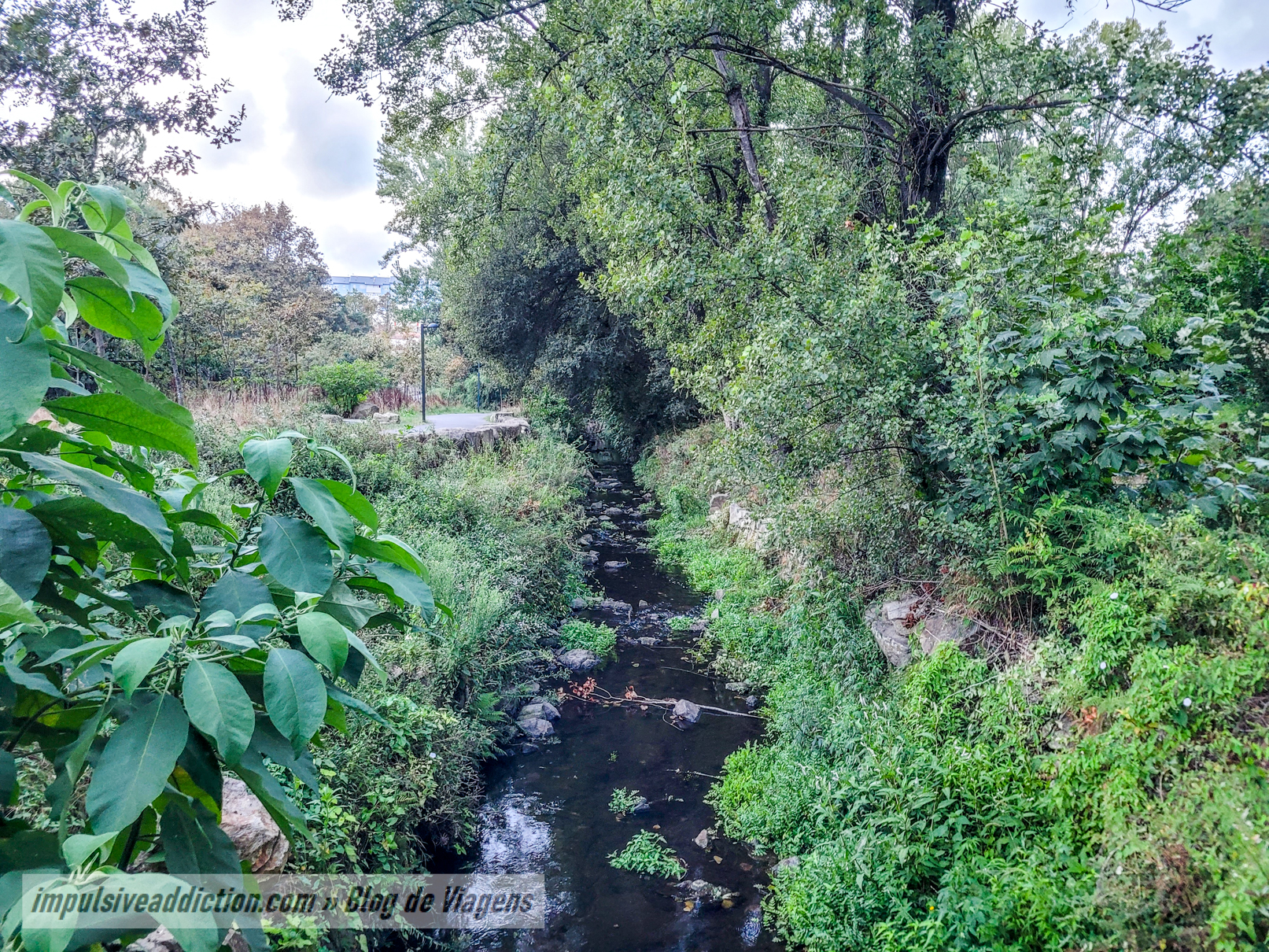Parque Oriental da Cidade do Porto