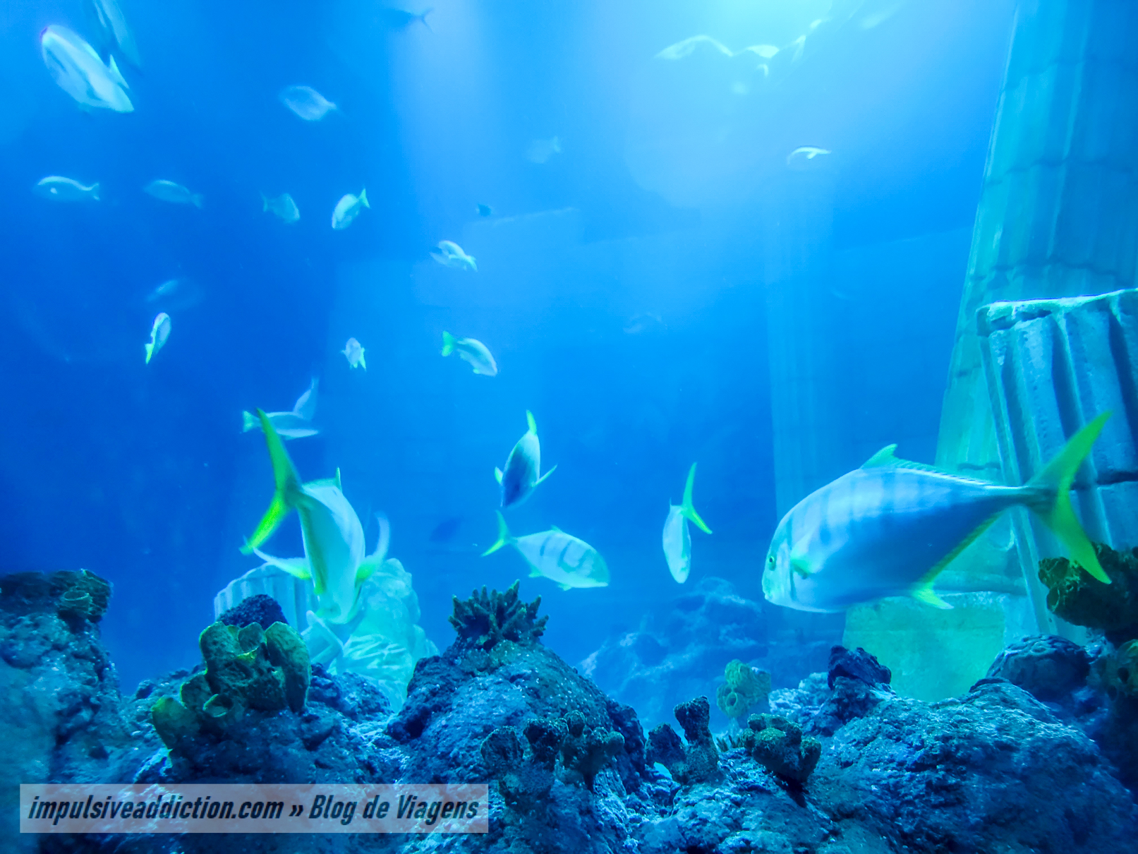 SEA LIFE Porto