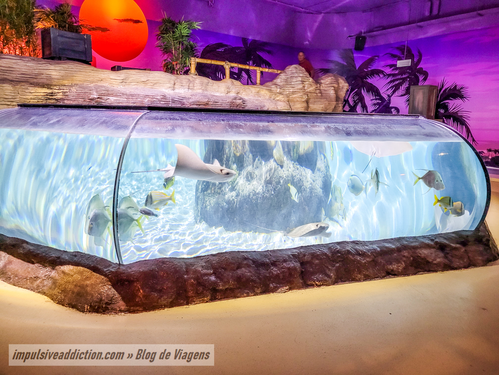 SEA LIFE Porto