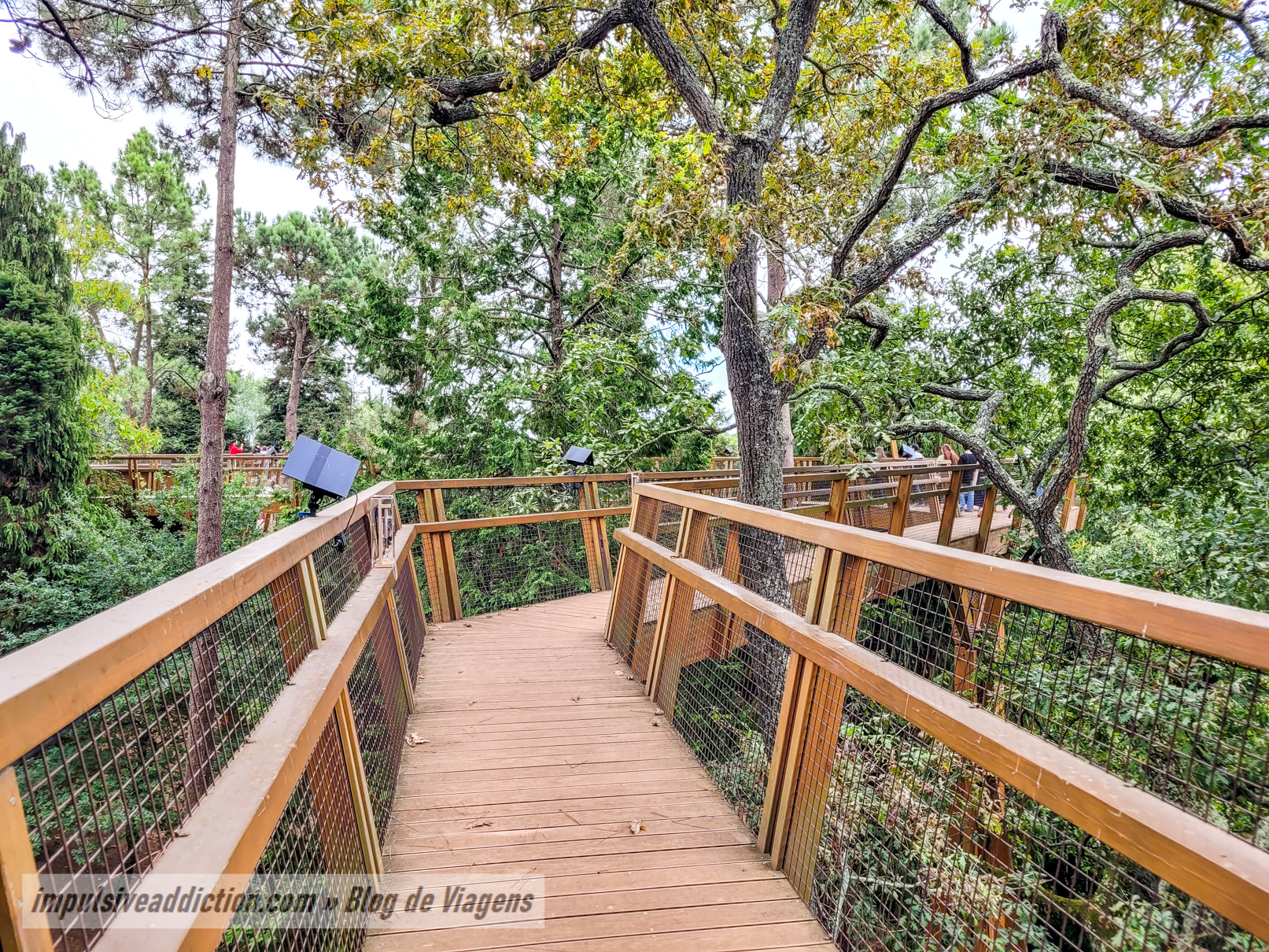 TreeTop Walk at Serralves Park
