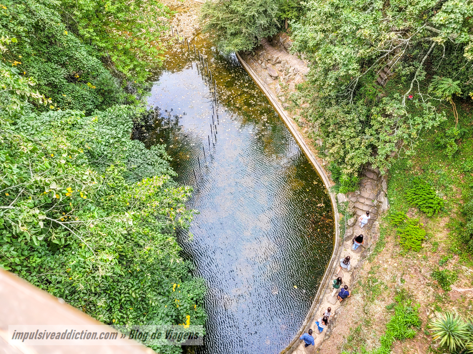 TreeTop Walk at Serralves Park