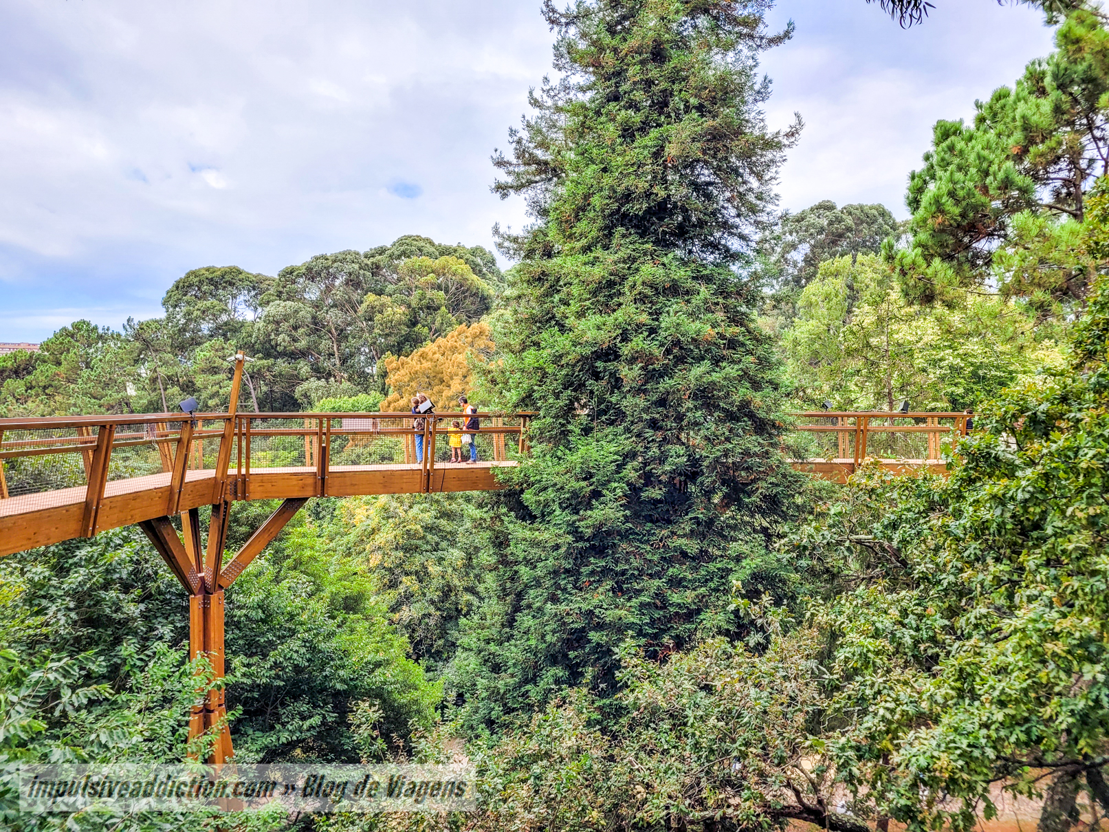 TreeTop Walk at Serralves Park
