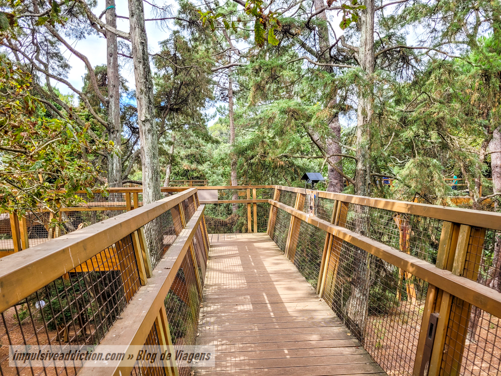 TreeTop Walk at Serralves Park in Porto Itinerary