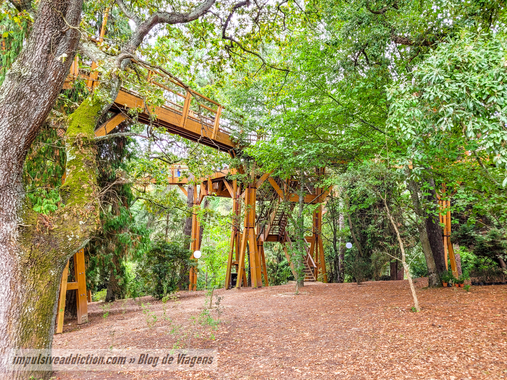 TreeTop Walk at Serralves Park