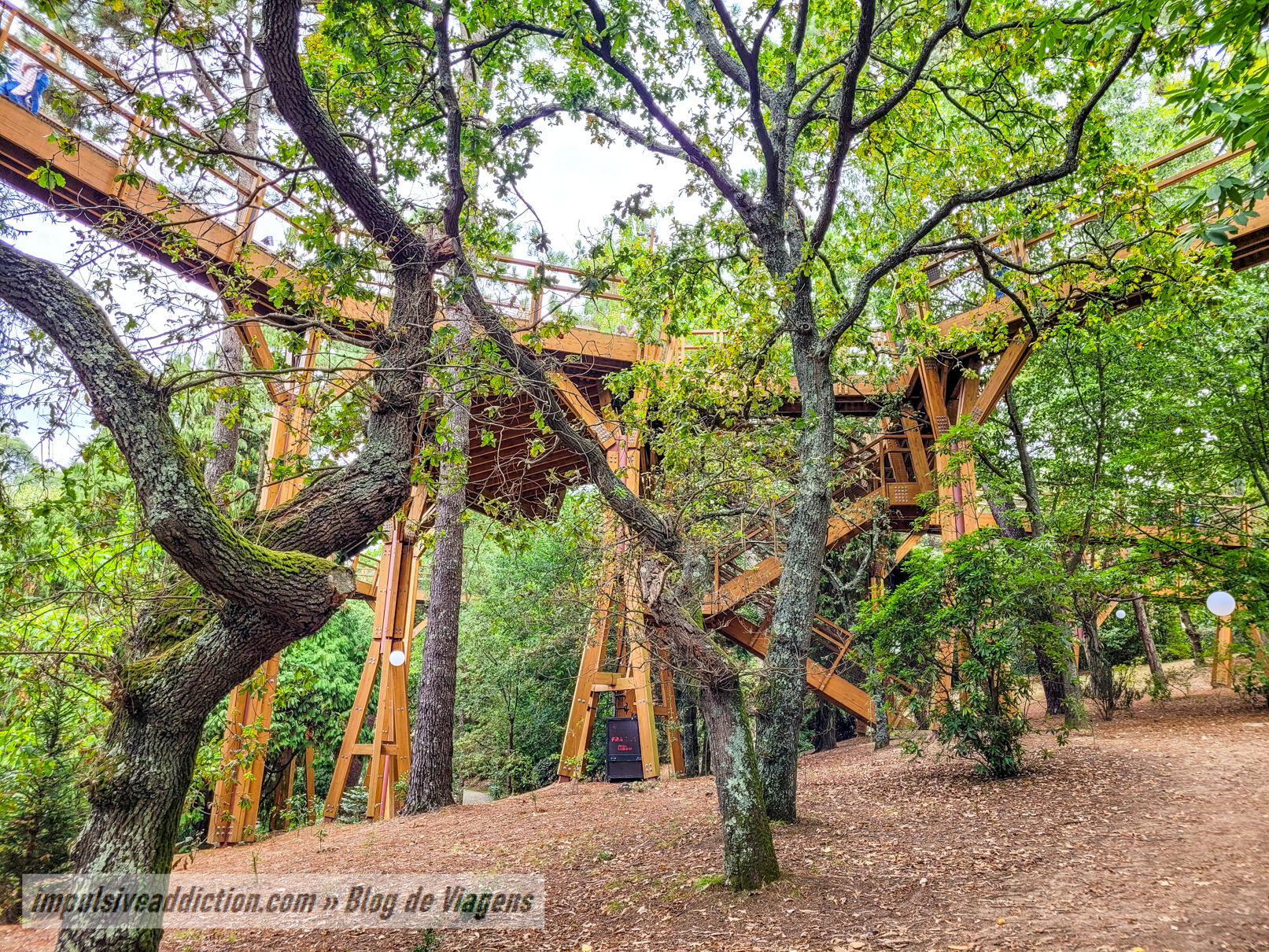 TreeTop Walk do Parque de Serralves, no Porto