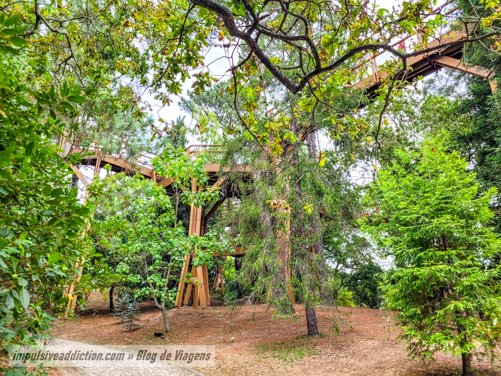 TreeTop Walk at Serralves Park