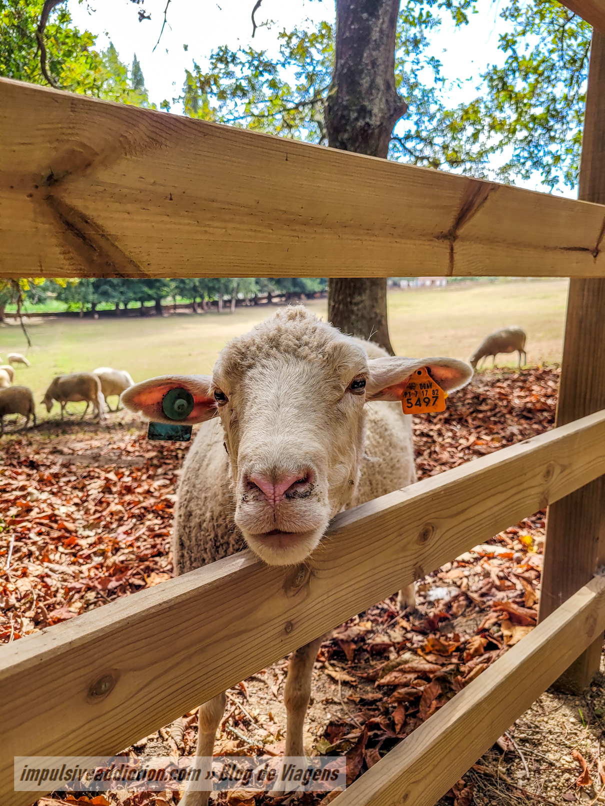 Biological Farm inside Serralves Park