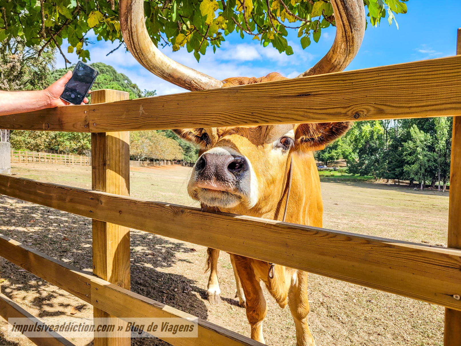 Biological Farm inside Serralves Park