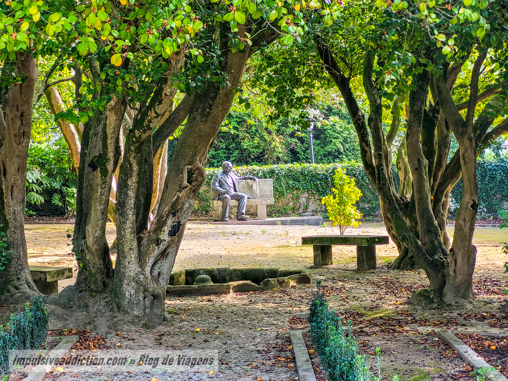 Jardim das Camélias do Solar dos Condes de Resende, em Gaia