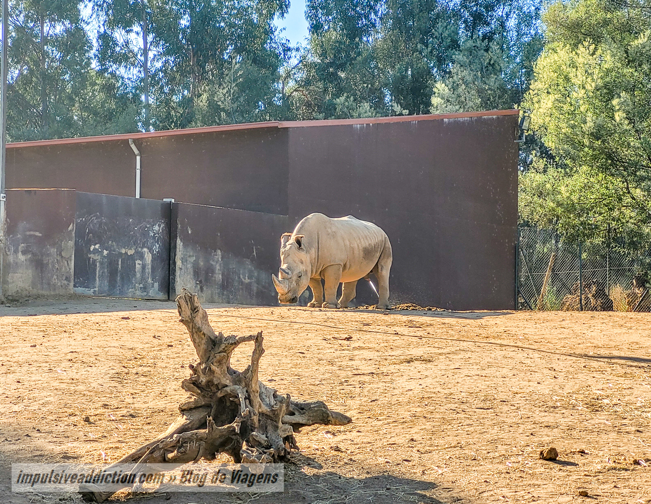 Santo Inácio Zoo