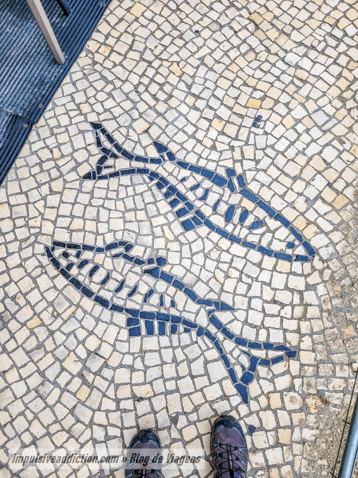 Portuguese Pavement on Avenue Doutor Lourenço Peixinho