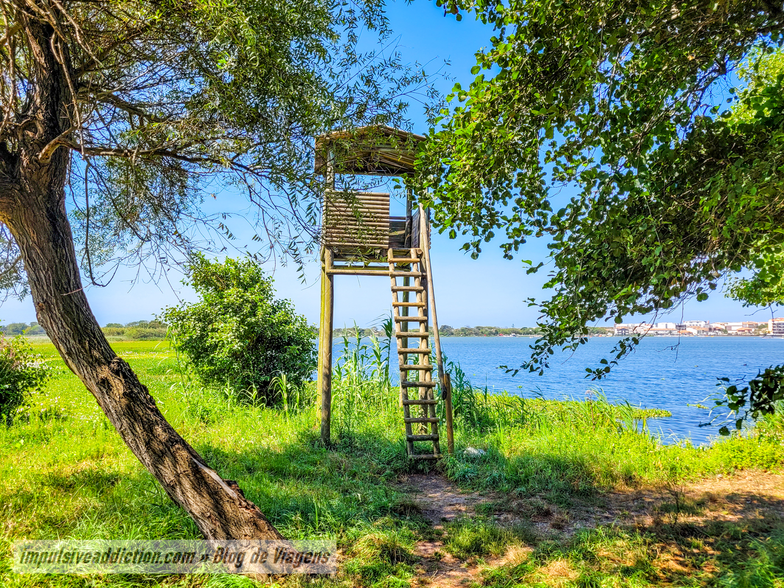 Barrinha de Mira Observation Point