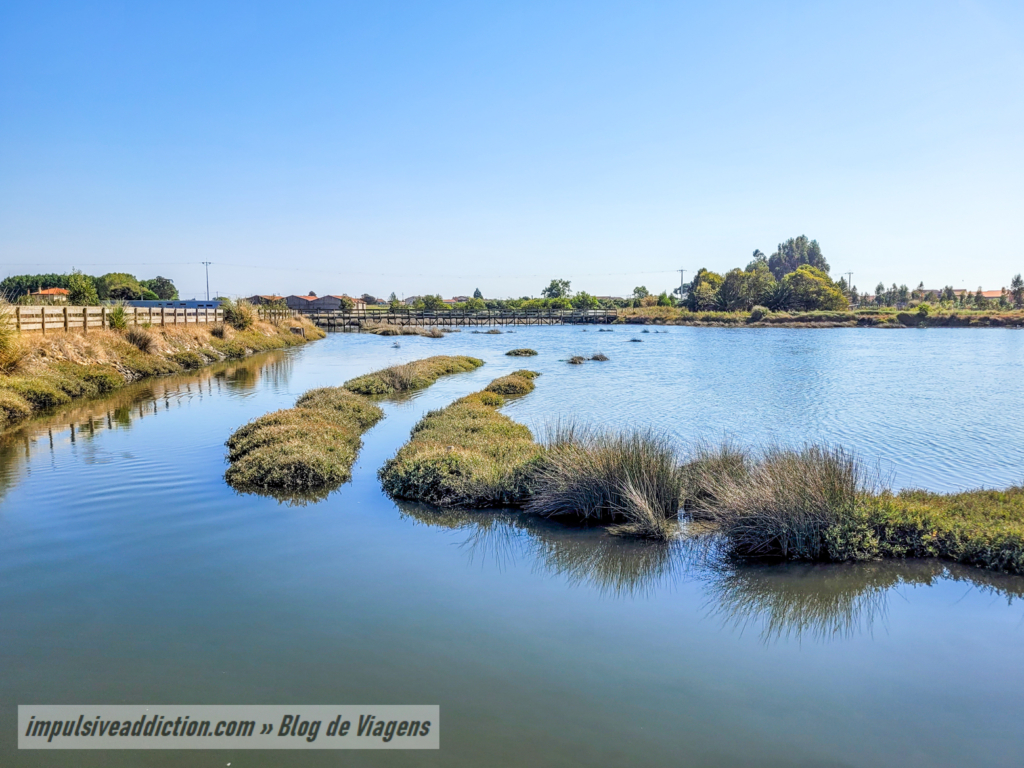 Ria de Aveiro junto do Cais da Ribeira do Gago