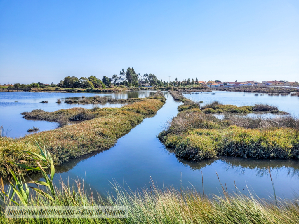 Ria de Aveiro junto do Cais da Ribeira do Gago