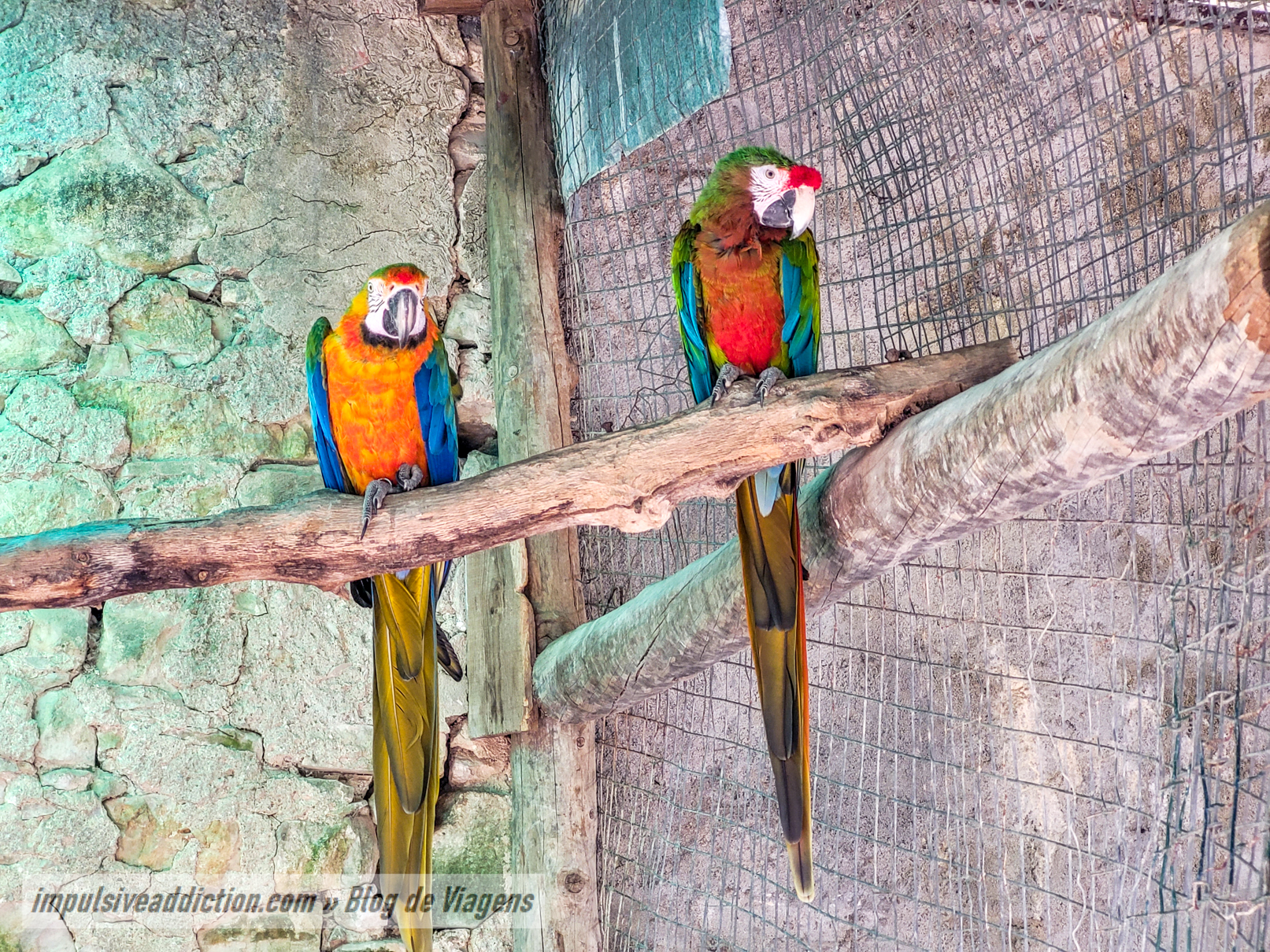 Europaradise Zoo
