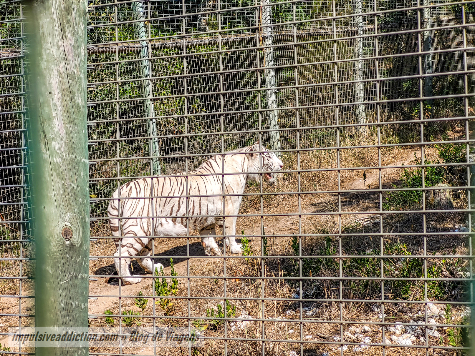 Europaradise Zoo
