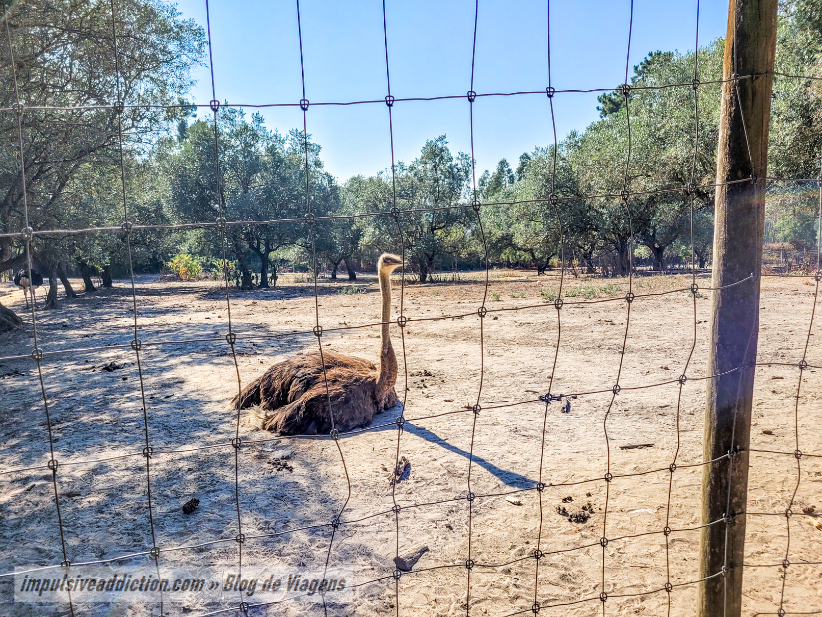 Europaradise Zoo