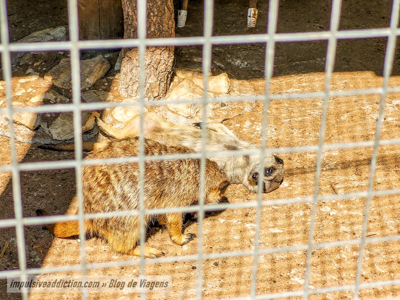 Europaradise Zoo