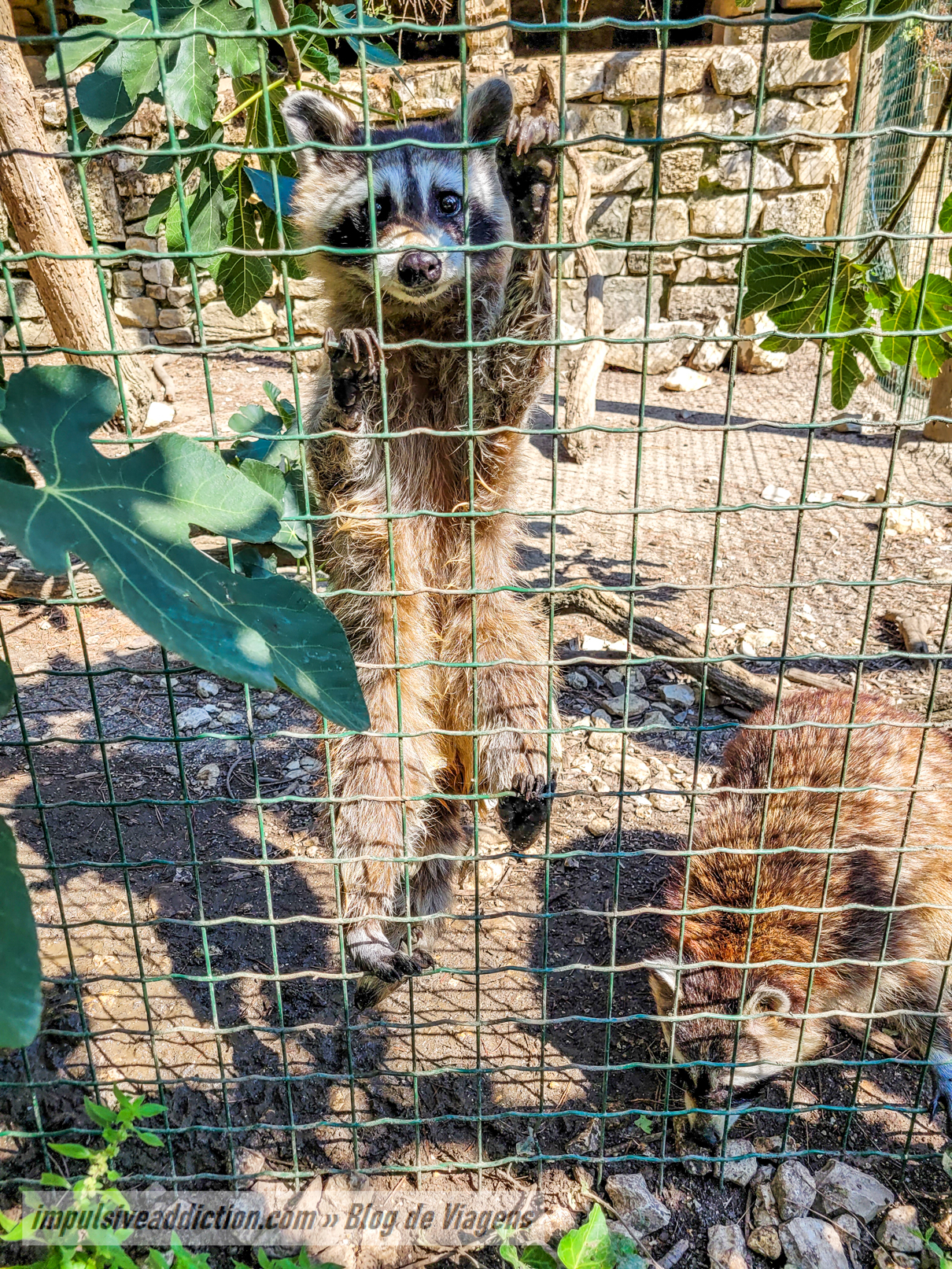 Europaradise Zoo