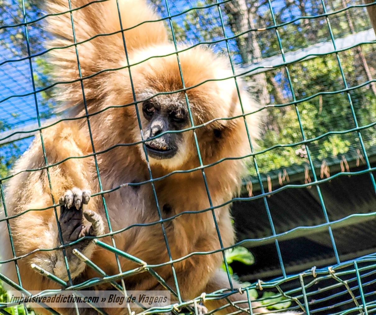 Europaradise Zoo