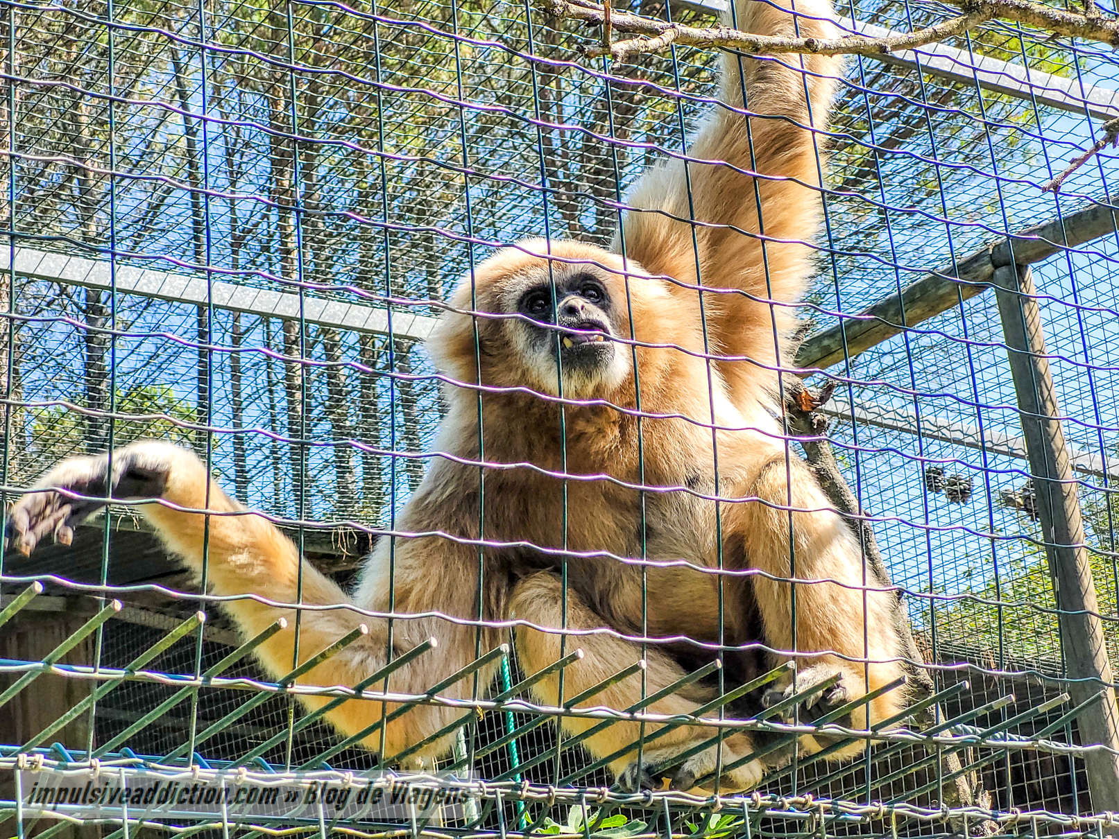 Europaradise Zoo