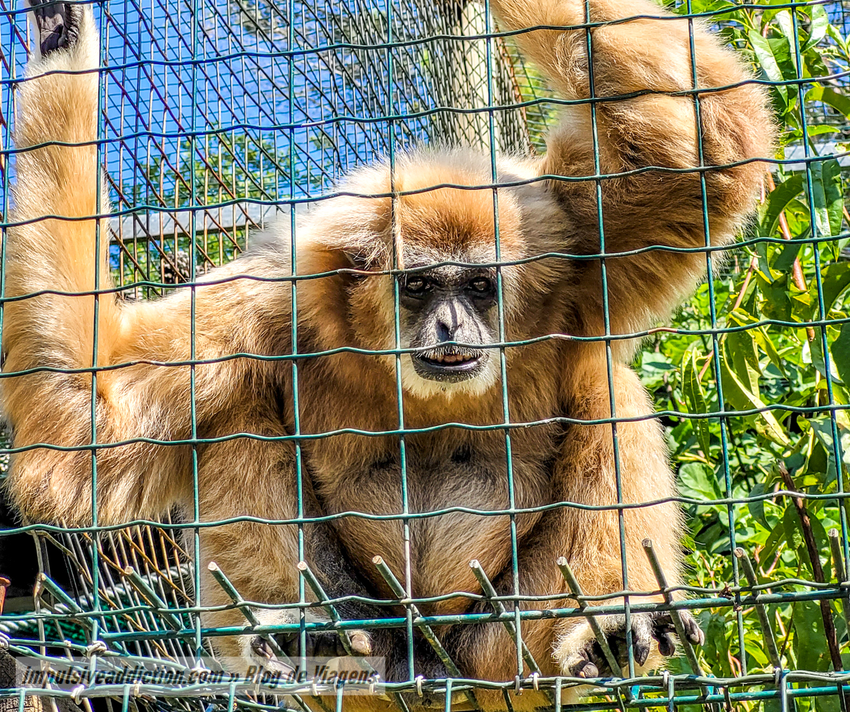 Europaradise Zoo